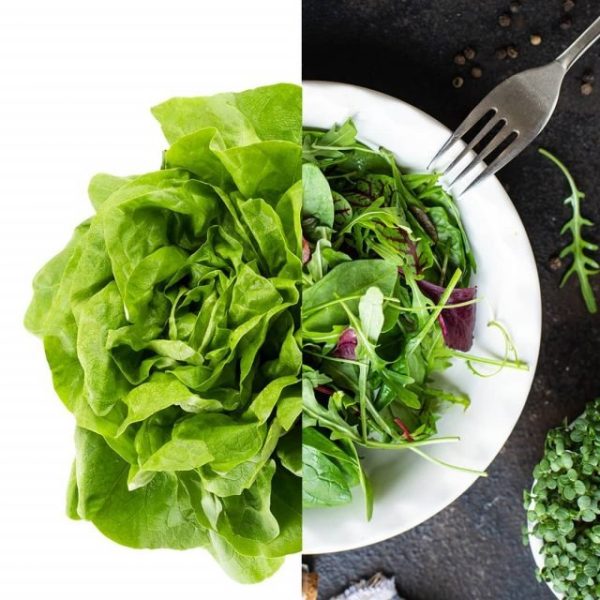 imgi_40_193496611_162827615805254_2384789204592529732_nfull