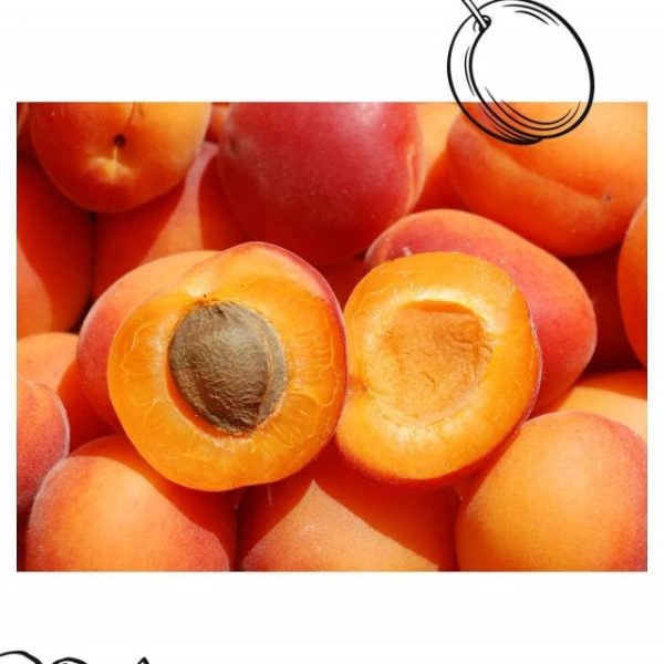 imgi_44_185855933_467437577846948_7936972230495948874_nfull