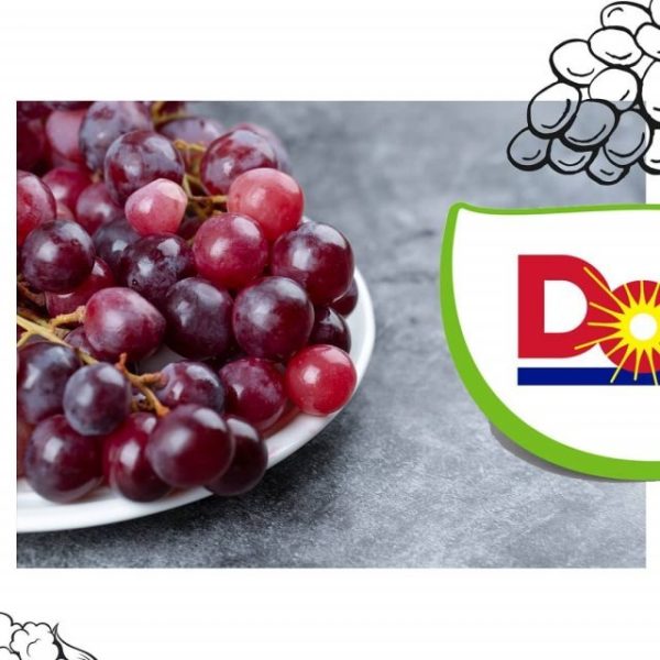 imgi_46_182435259_1151575501950934_5682904163499127797_nfull