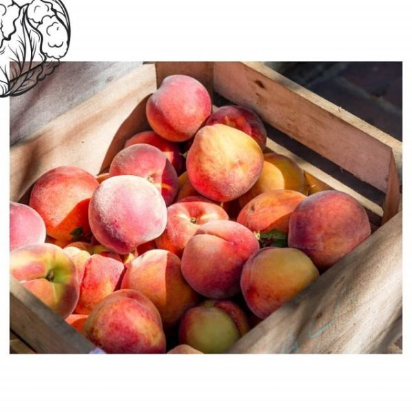 imgi_48_177930057_3854870101278049_859003069852086898_nfull