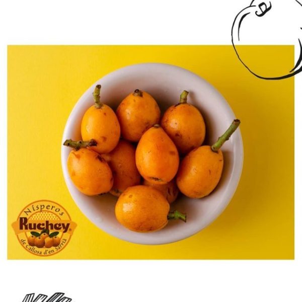 imgi_49_177993980_1146902442491969_3068859934373431908_nfull