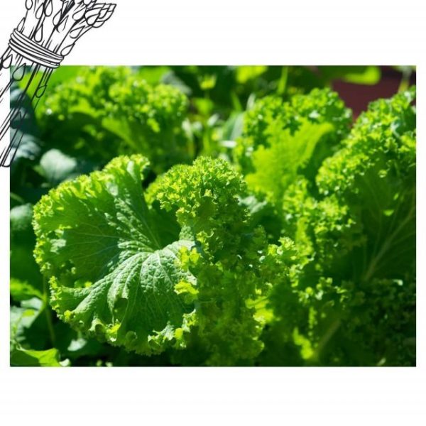 imgi_50_174611982_506257037211326_6025743062307292924_nfull