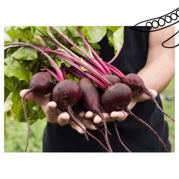 imgi_53_169763639_250870260058769_1392120762991037594_nfull