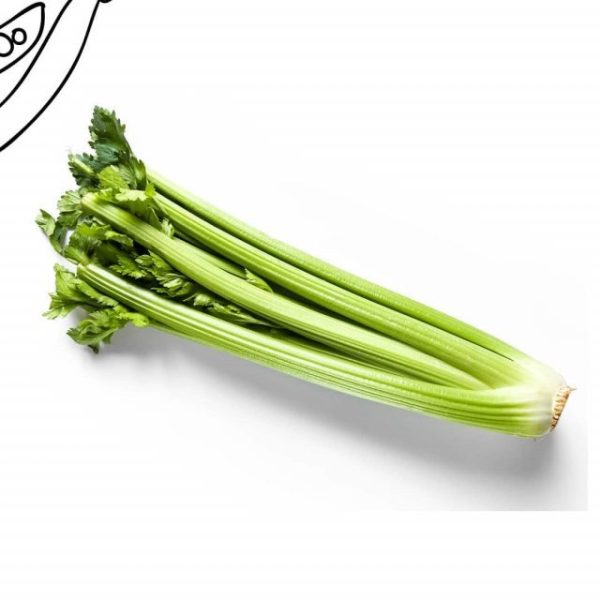 imgi_54_168945639_1078667332630592_4641280560041146928_nfull