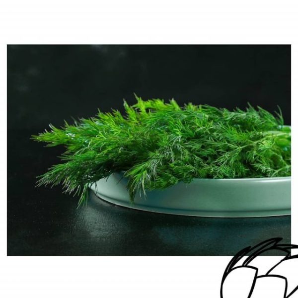 imgi_56_162957232_195209585371443_1559368449998109724_nfull